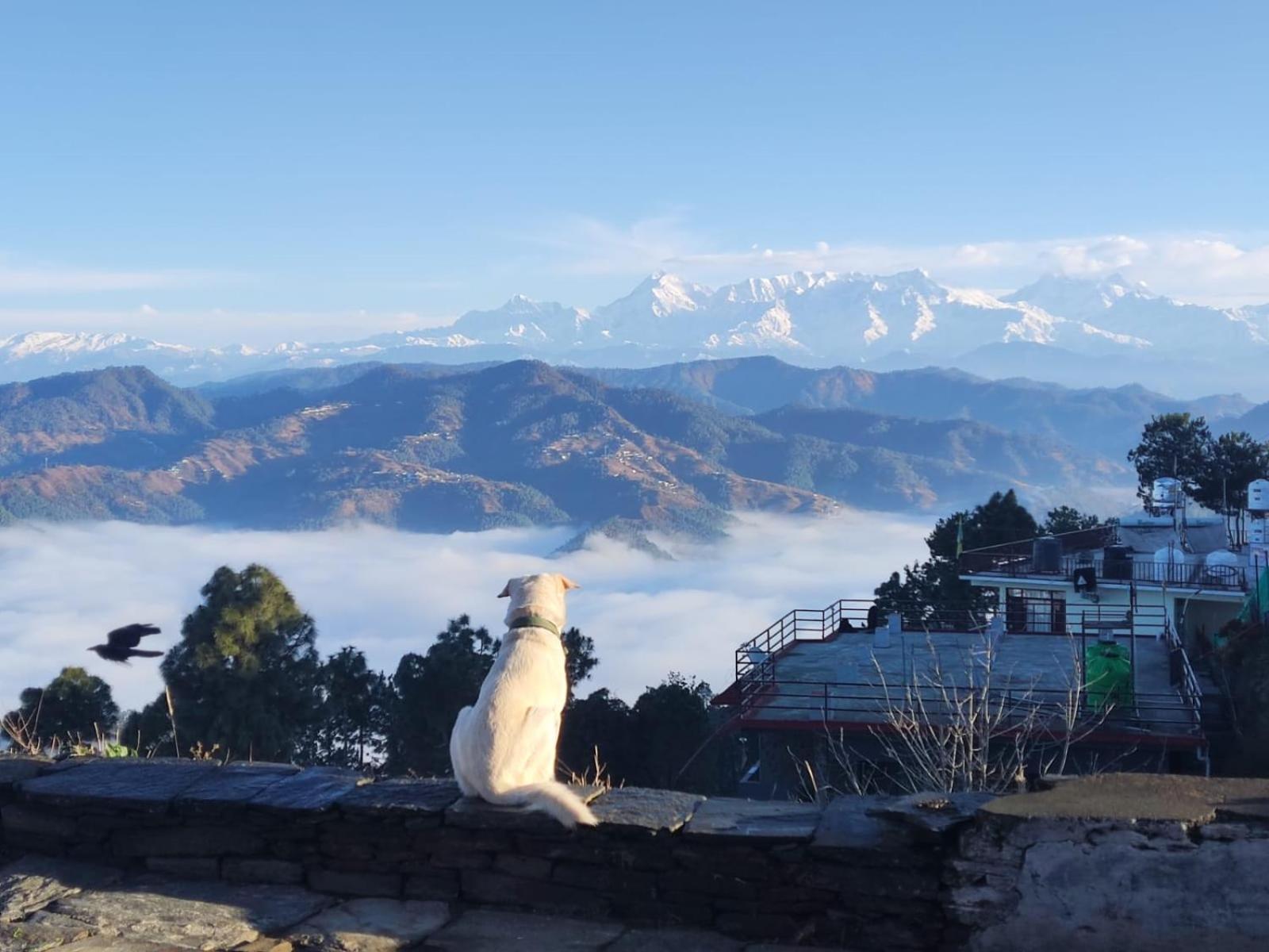 Ferienwohnung The Heavens Almora Exterior foto